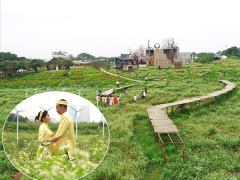 Ảnh bìa bài viết 612335