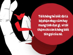 Ảnh bìa bài viết 612529