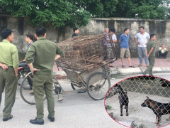 Ảnh bìa bài viết 612858