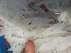 Ảnh bìa bài viết 613206