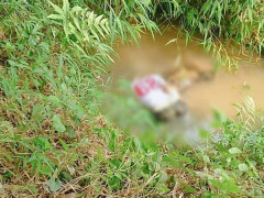 Ảnh bìa bài viết 613581