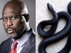 Ảnh bìa bài viết 613514