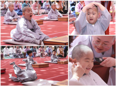Ảnh bìa bài viết 613808
