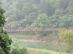 Ảnh bìa bài viết 614001