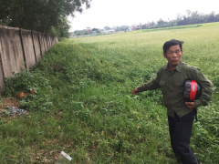 Ảnh bìa bài viết 614011