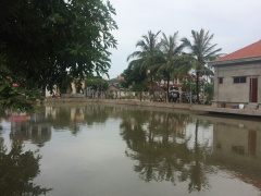 Ảnh bìa bài viết 614169