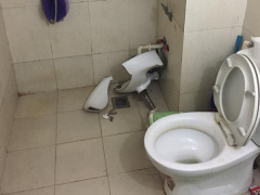 Ảnh bìa bài viết 614503