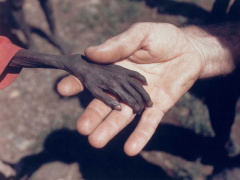 Ảnh bìa bài viết 614469