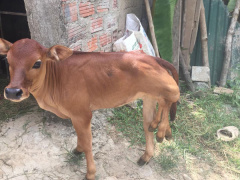 Ảnh bìa bài viết 614679