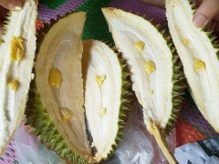 Ảnh bìa bài viết 614745
