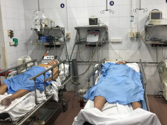 Ảnh bìa bài viết 615466