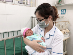 Ảnh bìa bài viết 615659