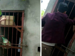 Ảnh bìa bài viết 615593