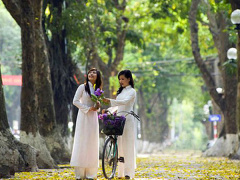 Ảnh bìa bài viết 616100