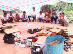 Ảnh bìa bài viết 616380