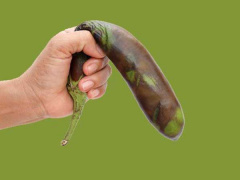 Ảnh bìa bài viết 616610