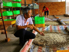 Ảnh bìa bài viết 616865