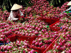 Ảnh bìa bài viết 617217