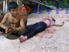 Ảnh bìa bài viết 617269
