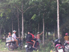 Ảnh bìa bài viết 617213