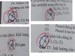 Ảnh bìa bài viết 617490