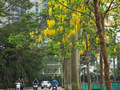 Ảnh bìa bài viết 617467