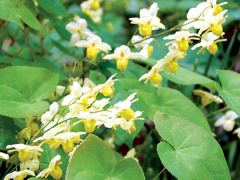 Ảnh bìa bài viết 617435