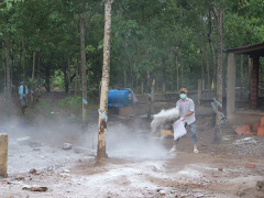 Ảnh bìa bài viết 617890