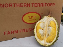 Ảnh bìa bài viết 617821