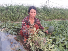 Ảnh bìa bài viết 617881