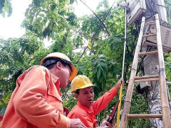 Ảnh bìa bài viết 617914