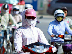 Ảnh bìa bài viết 618186
