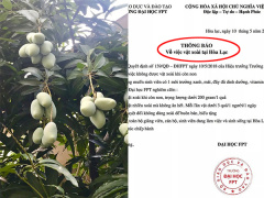 Ảnh bìa bài viết 618916