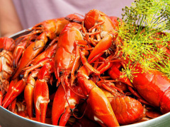 Ảnh bìa bài viết 619125