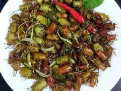 Ảnh bìa bài viết 618988