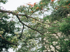 Ảnh bìa bài viết 619387
