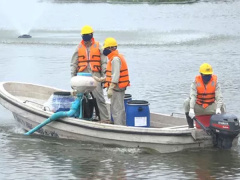 Ảnh bìa bài viết 620207