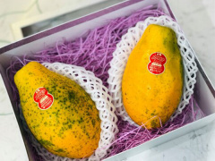 Ảnh bìa bài viết 620366