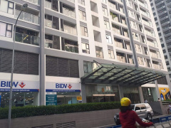 Ảnh bìa bài viết 620244