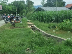 Ảnh bìa bài viết 620680