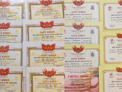 Ảnh bìa bài viết 620531