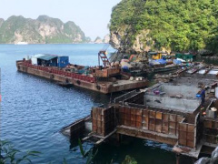 Ảnh bìa bài viết 620483