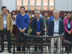 Ảnh bìa bài viết 620866