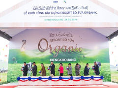 Ảnh bìa bài viết 620776
