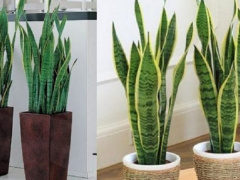 Ảnh bìa bài viết 621151
