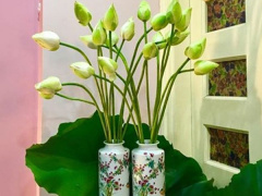 Ảnh bìa bài viết 621555