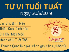 Ảnh bìa bài viết 621694