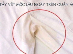 Ảnh bìa bài viết 621800