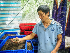 Ảnh bìa bài viết 621946