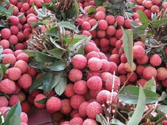 Ảnh bìa bài viết 622023